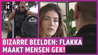 Zombiedrug Flakka rukt op in Brabant [upl. by Wiseman]