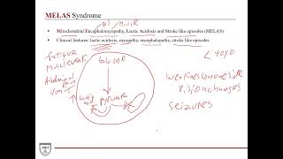 Mitochondrial Diseases Clinical Biochemistry 3 of 8 [upl. by Notwal567]