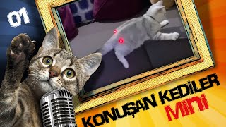 Konuşan Kediler Mini 1  En Komik Kedi Videoları [upl. by Altaf]