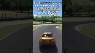 The FIRST Thing to do in Assetto Corsa [upl. by Atteynad741]