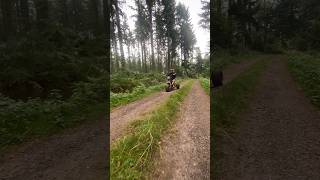 Baboon Electric Scooters 🛵  Farleigh Wallop Estate [upl. by Aekal]