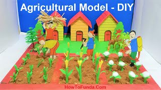 agriculture model making  farming model  science project  DIY at home easily  howtofunda [upl. by Ateuqahs]