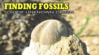 Finding Fossils  Soil of Unknown Origin [upl. by Atalya]