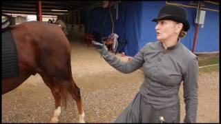 Description of Vintage English Sidesaddle amp Riding Habit by Julie Size [upl. by Ackerley]