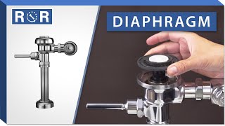 Sloan Regal Flushometer  Diaphragm  Repair and Replace [upl. by Ydne703]