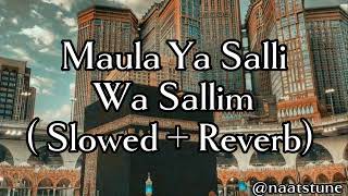 Maula Ya Salli Wa Sallim  slowed amp reverb [upl. by Douglas]