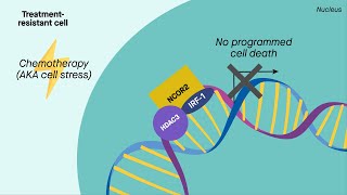 Miniorgans reveal new target for breast cancer immunotherapy [upl. by Razec]