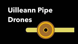 Uilleann Pipe Drones 10min backing track [upl. by Ikcim]