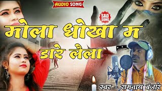 mola dhokha ma dare re laela New cg song Ramnath banjare [upl. by Sullivan603]