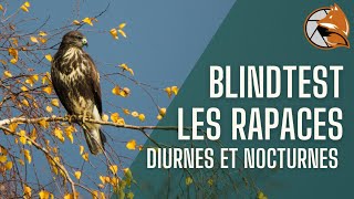 Les Rapaces  le blindtest qui va vous époustoufler [upl. by Annoyed960]