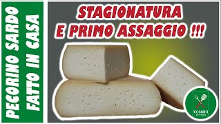 FORMAGGIO Pecorino Sardo FATTO IN CASA  stagionatura e primo assaggio [upl. by Boylston]