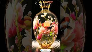 Al Quran surah Nooh Ayah 0413  Beautiful Quran Recitationreligion shorts quran islam [upl. by Elleunamme]