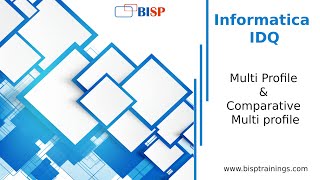 Informatica IDQ  Multi Profile amp Comparative Multi profile  Informatica IDQ Training [upl. by Gunthar130]