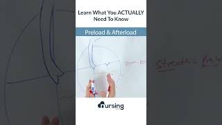 Preload v Afterload  an intro nclex nursingstudent [upl. by Rogergcam414]