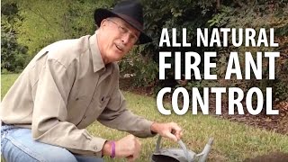 All Natural Fire Ant Control  The Dirt Doctor [upl. by Pelligrini981]