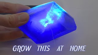 Growing Copper sulfate giant crystal at home Grow crystals chemical experiment 4K [upl. by Shannah]