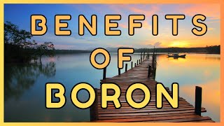 Boron Benefits  Supplement may cut your risk for over a dozen diseases in half [upl. by Drofhsa]