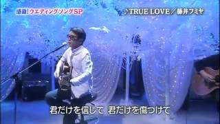 True Love Fuji Fumiya [upl. by Ahtanoj]