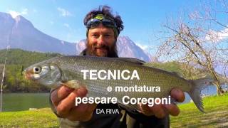 vi spiego COME PESCARE I COREGONI da riva📚📖📚TUTORIAL [upl. by Bidle]