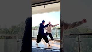 Ba Jiquan teachingBurst full strength to attack kungfu bajiquan [upl. by Nelac864]