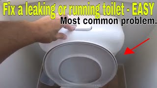 How to fix a leaking running toilet  most common problem [upl. by Nashom]