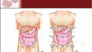 Chapter 1  Intro to Structure amp Function of the Body [upl. by Eilrahc]