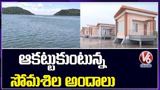 Special Report On Somasila Project  Telangana Tourism  V6 News [upl. by Nairbal]