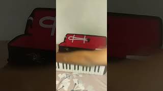 melodica unboxing [upl. by Ecirtnom]