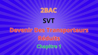 2BACSVT CH1 Libération de lénergie emmagasinée dans la  Devenir Des Transporteurs Réduits [upl. by Sauveur67]