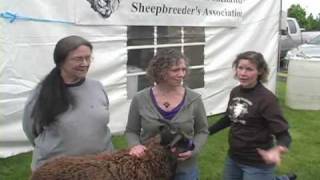 Shetland SheepBreeders Interview  BSG 2010 [upl. by Ydda991]