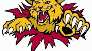 Moncton Wildcats Goal Hornwmv [upl. by Cowles419]