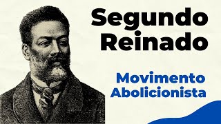 Movimento abolicionista  Abolicionismo no Brasil [upl. by Kerin]