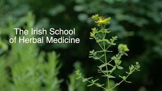 Professional Training in Herbal Medicine [upl. by Tuorah]