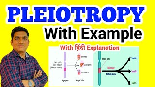 PLEIOTROPY  Principles of Inheritance and Variation pleiotropy genetics [upl. by Mclain]