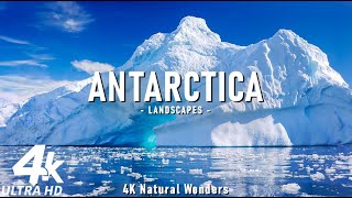 Antarctica 4K • Discovering the Majestic Icebergs and Pristine Wilderness  Relaxing Music [upl. by Sibbie]