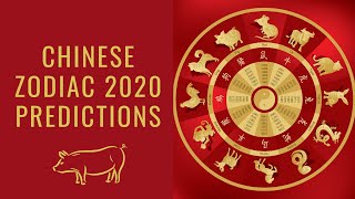 Pig Horoscope 2020 [upl. by Asile]