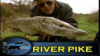 Pike fishing with oiled deadbaits  Totally Awesome Fishing Show [upl. by London]