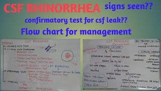 CSF Rhinorrhea [upl. by Notna]