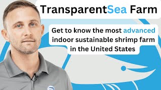 A look inside TransparentSea The most advanced indoor sustainable shrimp farm in the United States [upl. by Aniteb]