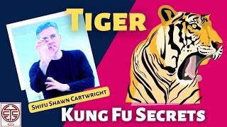 Tiger Kung Fu Style Animal Techniques amp Applications  Kung Fu Secrets [upl. by Tekla]