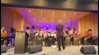 Die drei Tannen von Reutte  LECH GROOVE ORCHESTRA amp LionPARK [upl. by Oina]