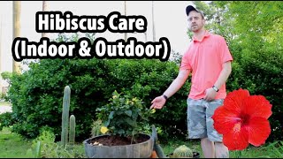 How to Care for a Hibiscus Indoor amp Outdoor [upl. by Petersen]