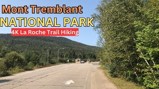 Mont Tremblant National Park Quebec Canada 4K Walking  Hiking Tour  La Roche Trail Hiking [upl. by Esetal]