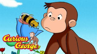 Where Does Honey Come From 🐵 Curious George 🐵 Kids Cartoon 🐵 Kids Movies [upl. by Nosac276]