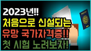 2023년 새로 신설되는 유망 국가자격증 첫 시험 노려보자 [upl. by Zoellick]