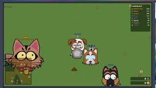 Cat Vs Dog IO Gameplay [upl. by Ursuline]