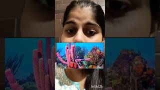 PORIFERA IN A MINUTE PART 3 neet neet2024 ncert biology porifera trending [upl. by Mecke273]