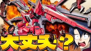 いろいろツッコまれそうなインフィニットジャスティスガンダム弐式【ガンプラレビュー】infinite justice gundam typeII gunpla review【SEEDFREEDOM】 [upl. by Oirad]