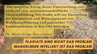 Plagiate sind nicht das Problem  sondern mangelnde intellektuelle Leistung [upl. by Anaig634]