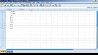 Data invoeren in SPSS [upl. by Assilen974]